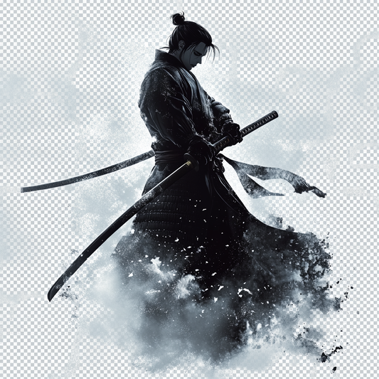 **Samurai Spirit Art**